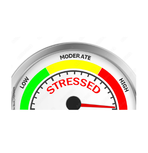  strengths4you_Stresstest.jpg